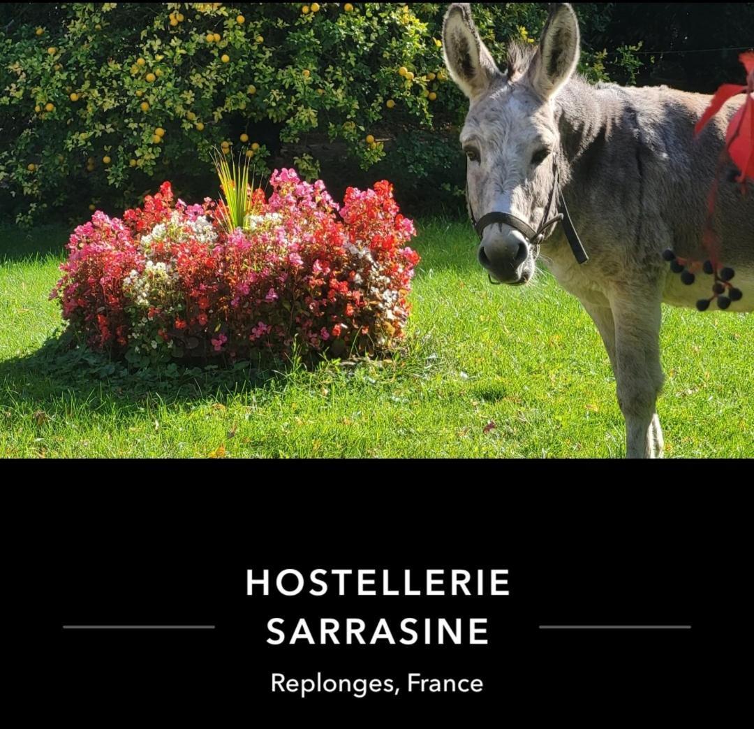 Hostellerie Sarrasine - Macon Est Replonges Exterior photo